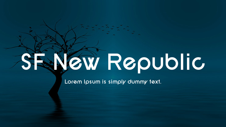SF New Republic Font Family