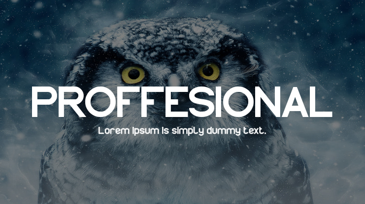PROFFESIONAL Font