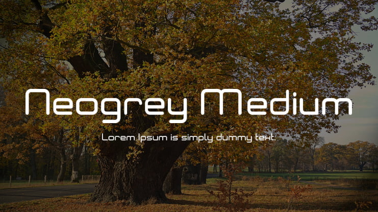 Neogrey Medium Font