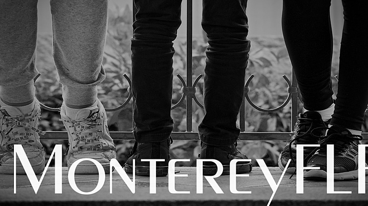 MontereyFLF Font Family