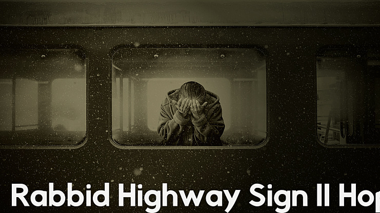 Rabbid Highway Sign II Hop Font Family