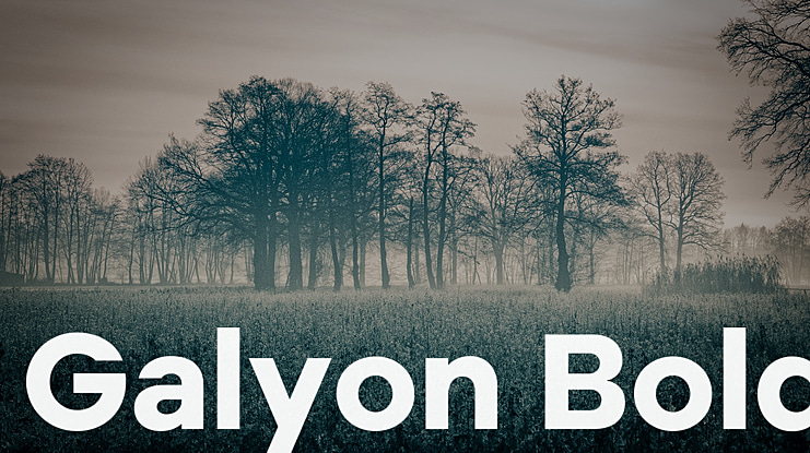 Galyon Font Family