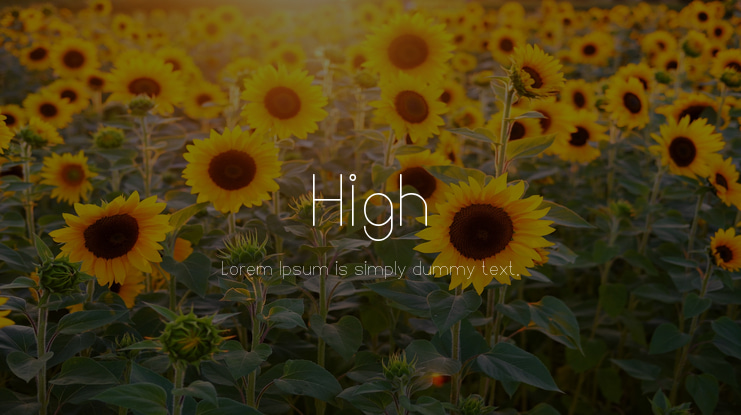 High Font