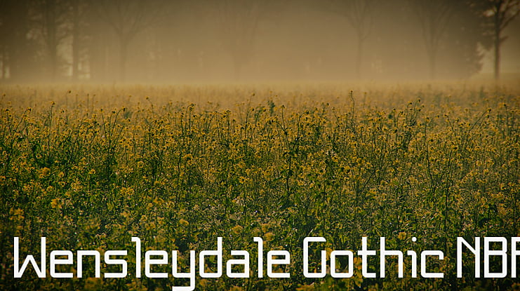 Wensleydale Gothic NBP Font