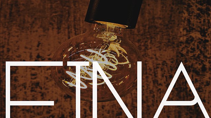 FINA Font