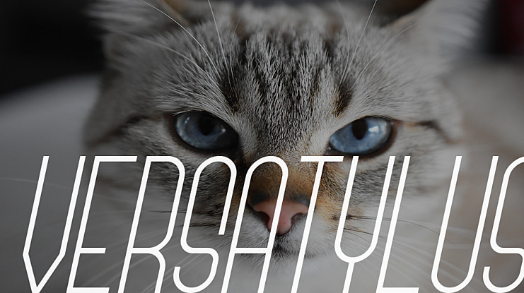 Versatylus Font