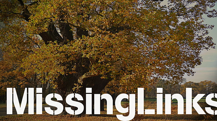 MissingLinks Font