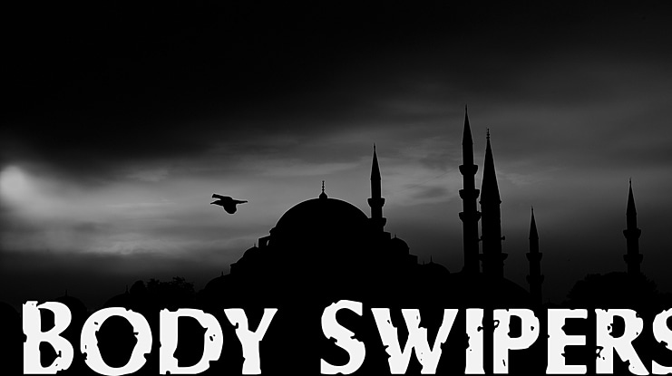 Body Swipers Font Family