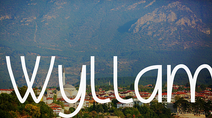 Wyllam Font