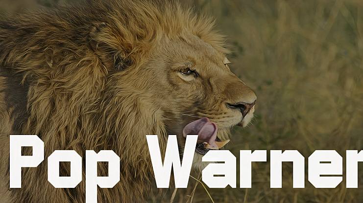 Pop Warner Font