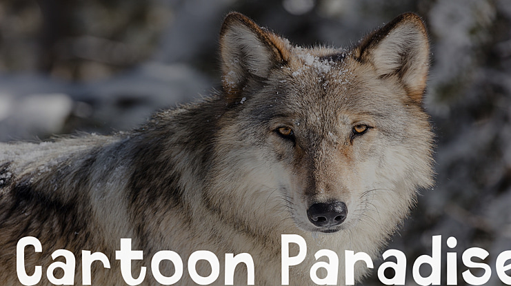 Cartoon Paradise Font