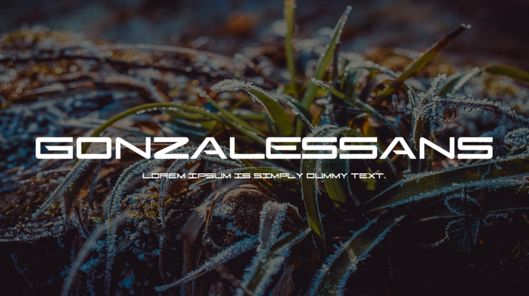 GonzalesSans Font