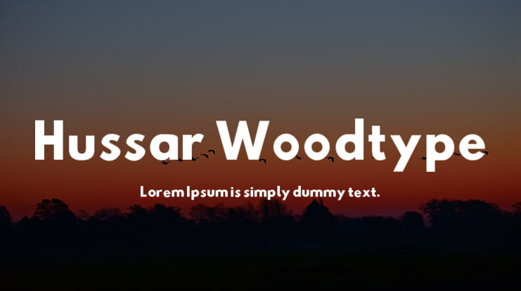 Hussar Woodtype Font Family