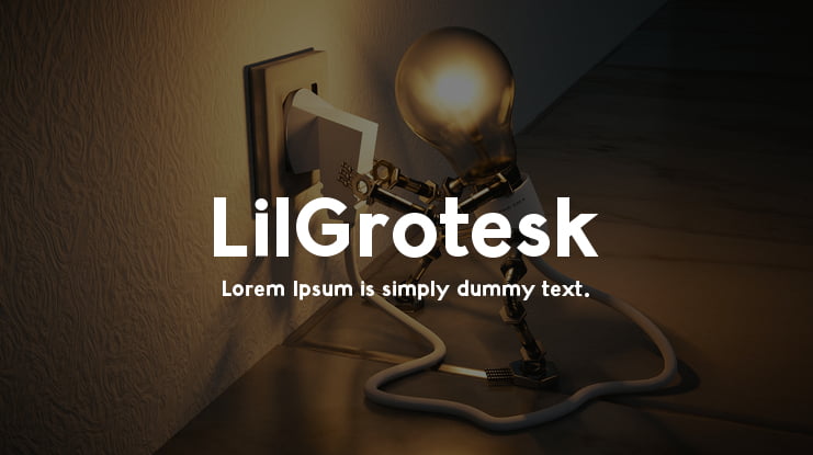 LilGrotesk Font Family