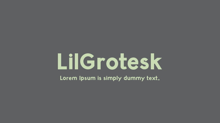 LilGrotesk Font Family