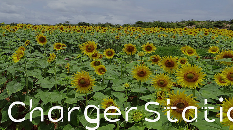 Charger Static Font Family