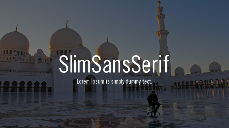 SlimSansSerif Font Family