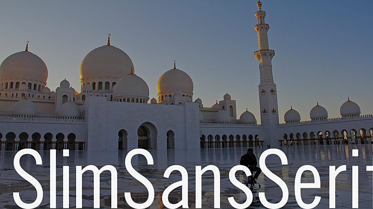 SlimSansSerif Font Family