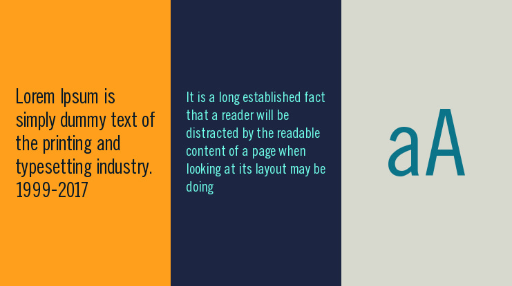 SlimSansSerif Font Family