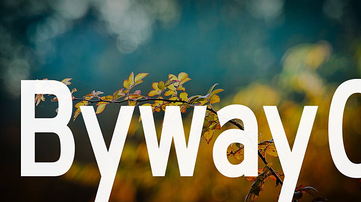 BywayC Font