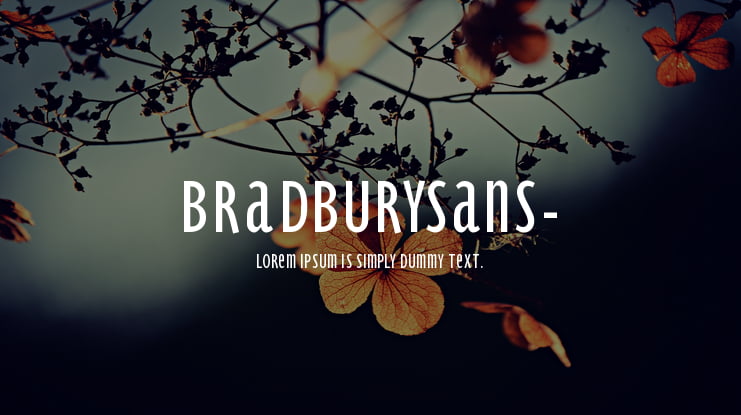 BradburySans- Font