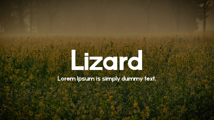 Lizard Font Family