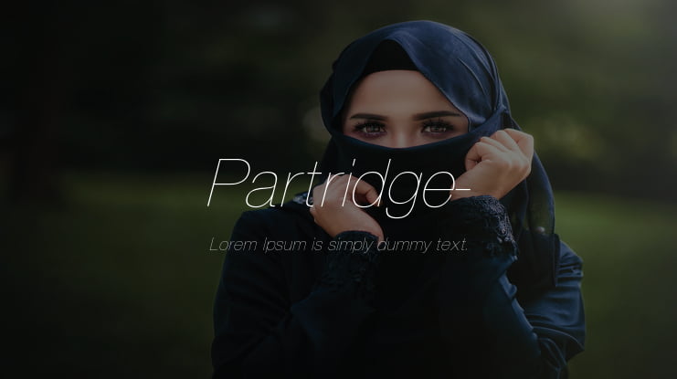 Partridge- Font
