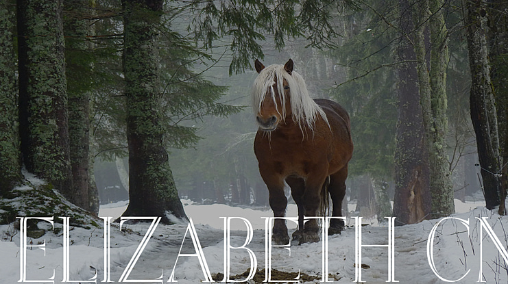 Elizabeth-ANN Font Family