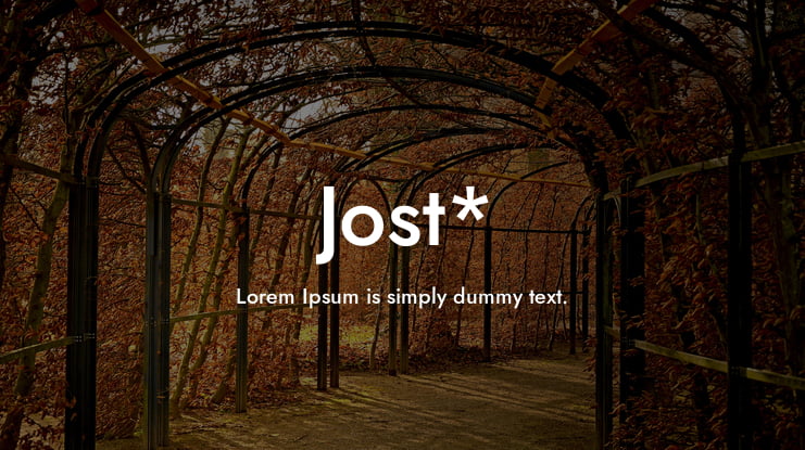 Jost* Font Family