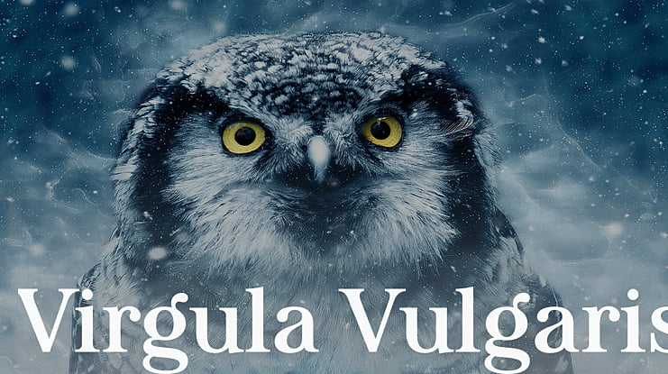 Virgula Vulgaris Font