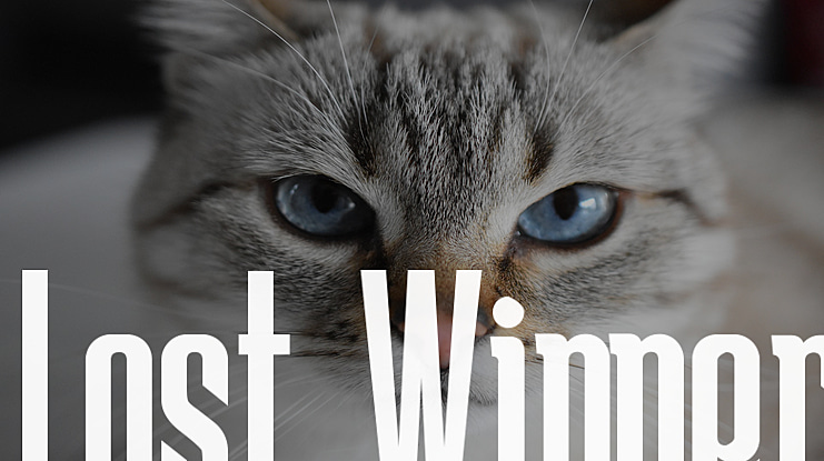 Lost Winner Font
