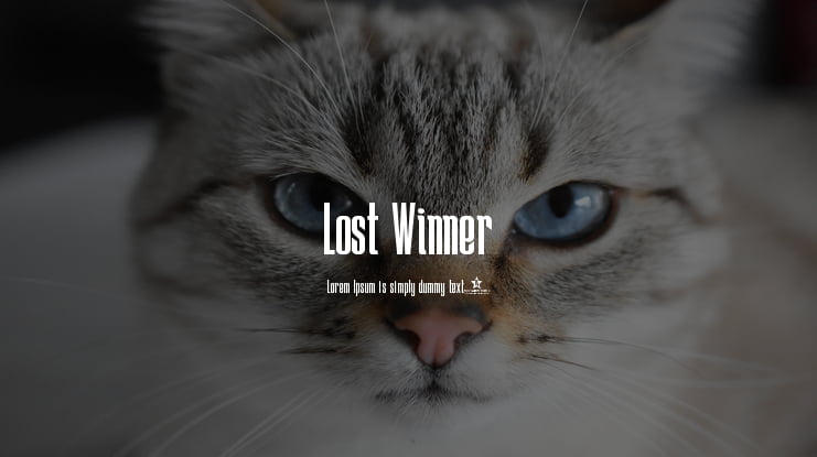 Lost Winner Font