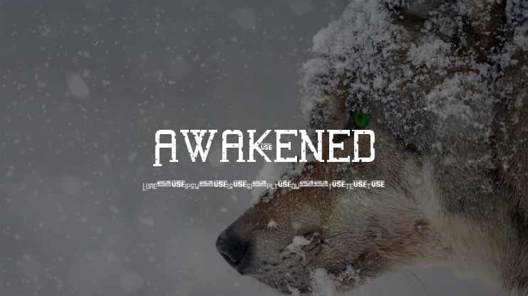 Awakened Font Family