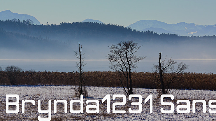 Brynda1231 Sans Font