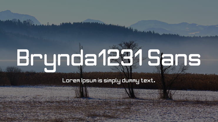 Brynda1231 Sans Font