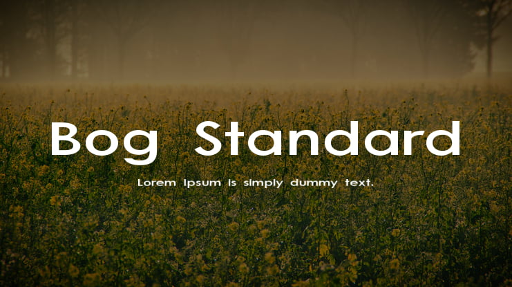 Bog Standard Font