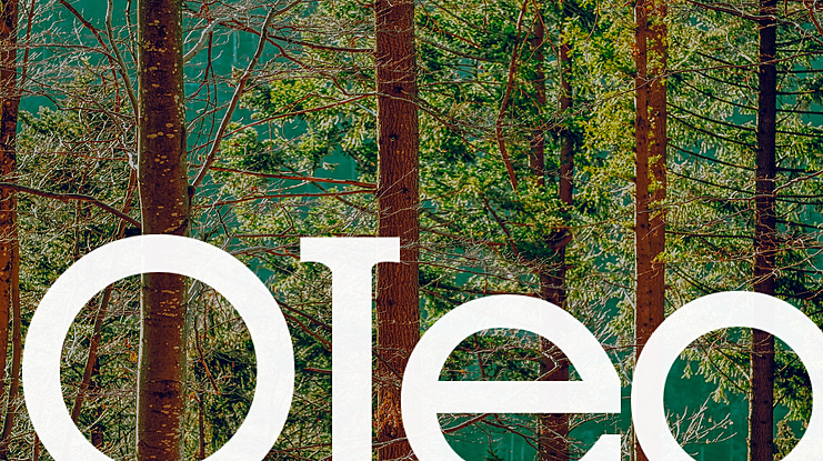 Oleo Font Family