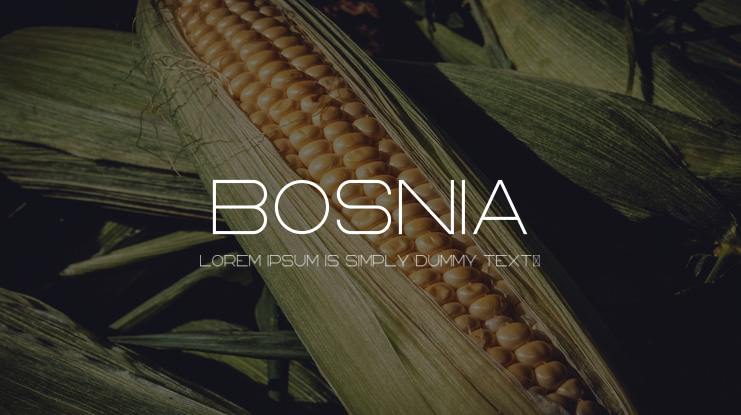 Bosnia Font