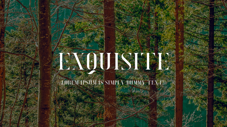 Exquisite Font