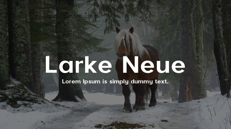 Larke Neue Font Family