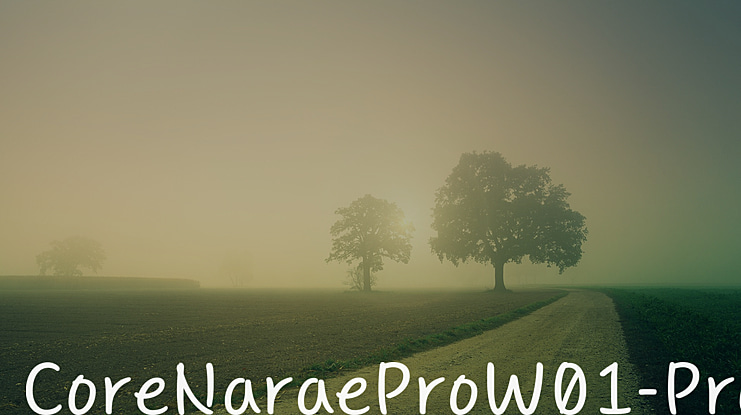 CoreNaraeProW01-Pro Font