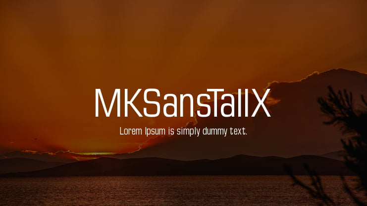 MKSansTallX Font