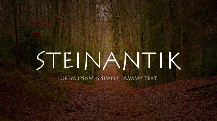 SteinAntik Font Family