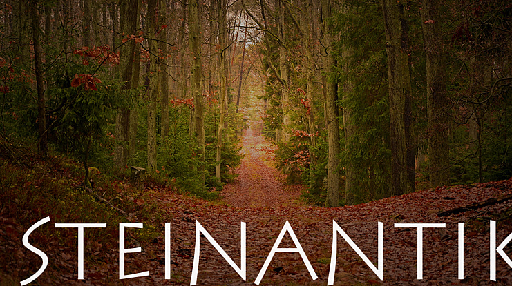 SteinAntik Font Family
