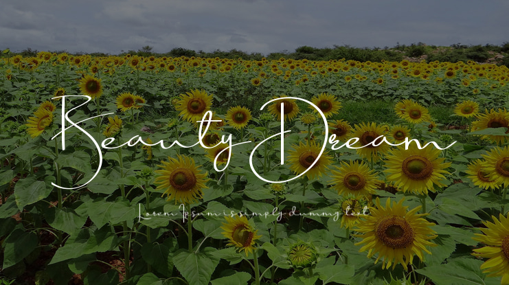 BeautyDream Font
