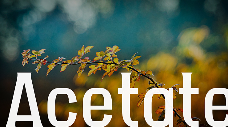 Acetate Font