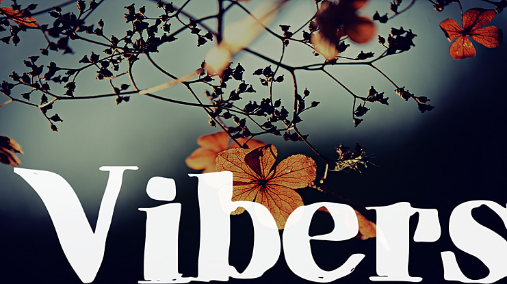Vibers Font Family