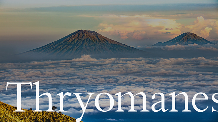 Thryomanes Font