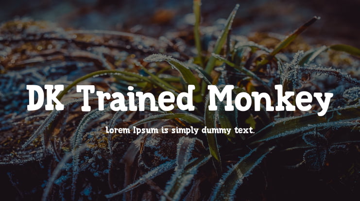DK Trained Monkey Font