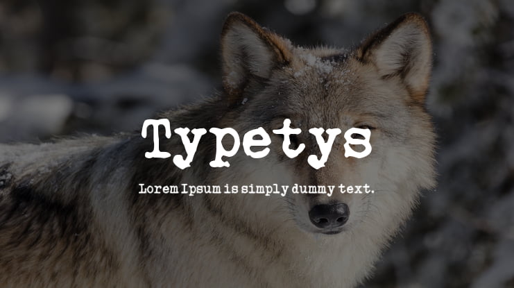 Typetys Font
